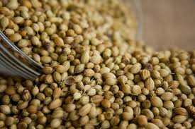 coriander seeds
